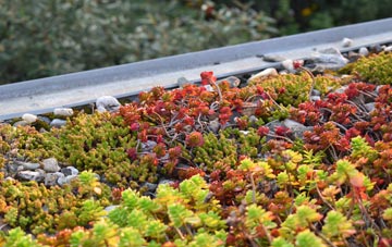 the cost of New Buildings green roof installation