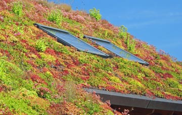 New Buildings living roof systems