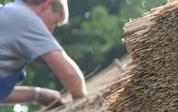 professional New Buildings thatchers