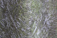 New Buildings fibreglass roof work